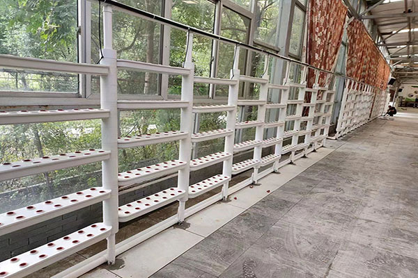 無土栽培，無土栽培技術(shù)，無土栽培設(shè)備