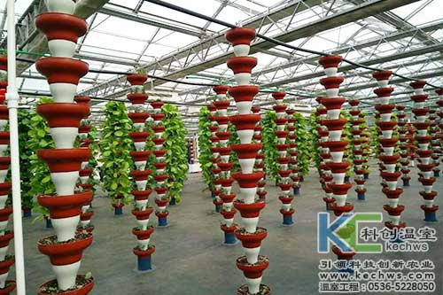 無土栽培，無土栽培案例
