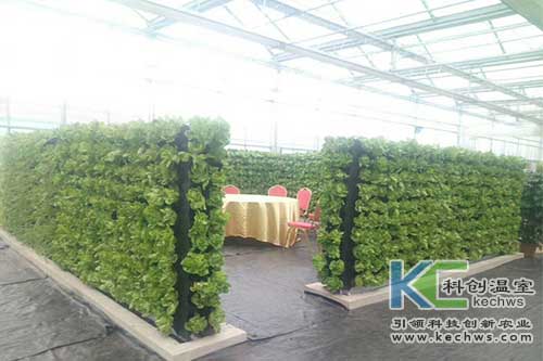 無土栽培，無土栽培技術，無土栽培設備