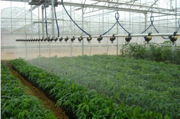 無土栽培,無土栽培技術,無土栽培設備