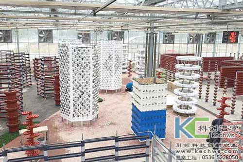 無土栽培，無土栽培案例