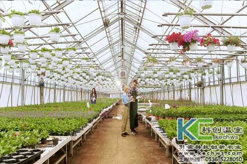 無(wú)土栽培，無(wú)土栽培技術(shù)，無(wú)土栽培設(shè)備