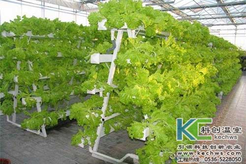 無土栽培，無土栽培技術(shù)，無土栽培設備