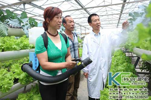 無土栽培，無土栽培技術，無土栽培設備