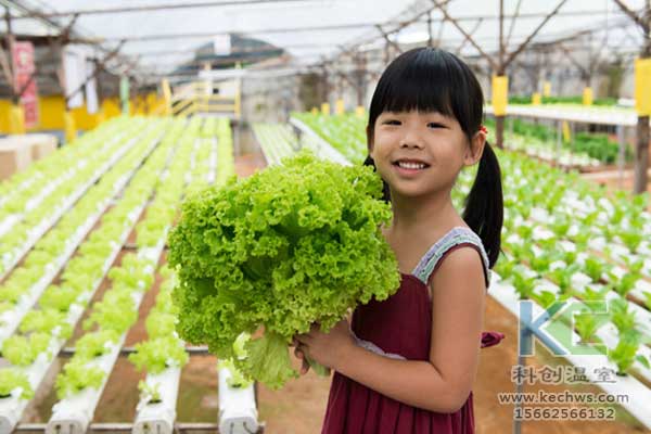 無土栽培，無土栽培技術(shù)，無土栽培設(shè)備