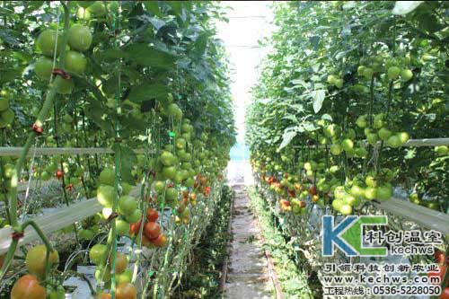 無土栽培，無土栽培技術(shù)，無土栽培設(shè)備