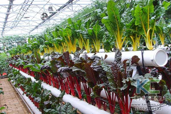 無(wú)土栽培，無(wú)土栽培技術(shù)，無(wú)土栽培設(shè)備