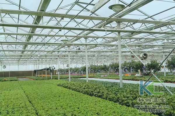 無土栽培，無土栽培技術，無土栽培設備