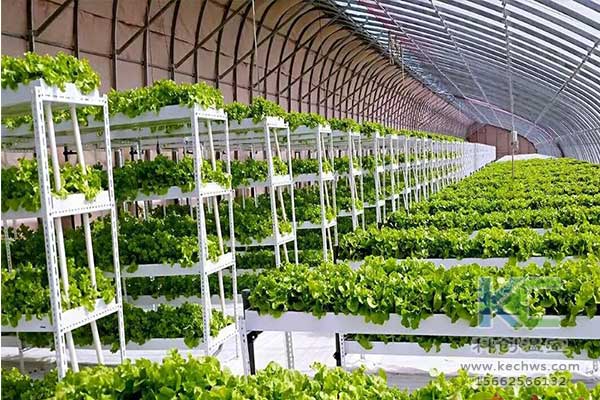 無土栽培，無土栽培技術(shù)，無土栽培設(shè)備