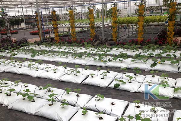 無土栽培，無土栽培技術，無土栽培設備