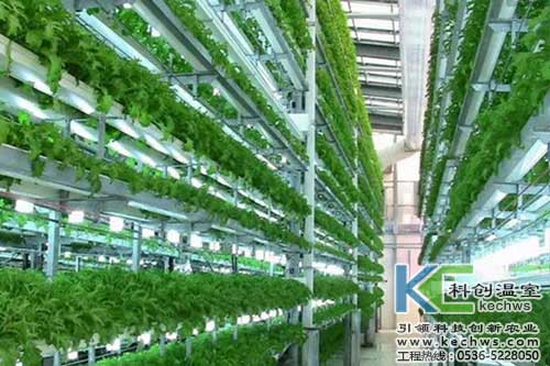 無(wú)土栽培，無(wú)土栽培技術(shù)，無(wú)土栽培設(shè)備