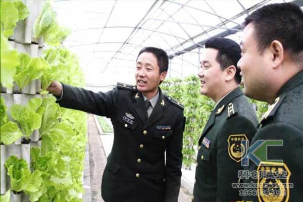 無土栽培，無土栽培技術