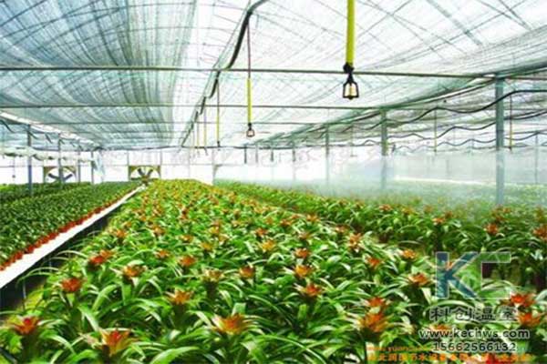 無土栽培，無土栽培技術，無土栽培設備