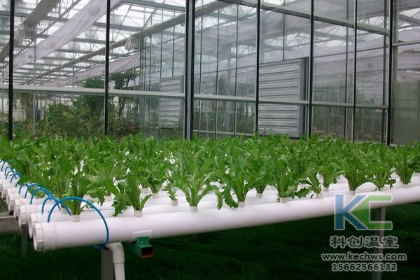 無土栽培技術，無土栽培設備，無土栽培，溫室大棚