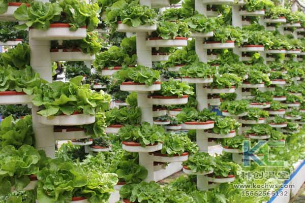 無土栽培，無土栽培技術，無土栽培設備