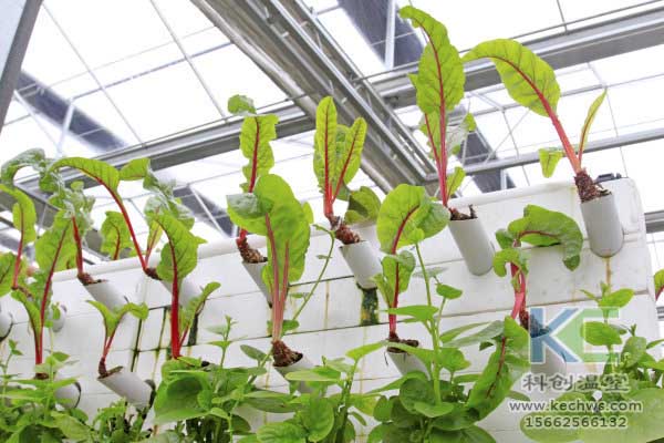 無土栽培，無土栽培技術，無土栽培設備
