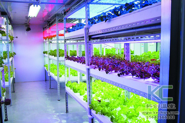 無土栽培技術，無土栽培設備，無土栽培，溫室大棚