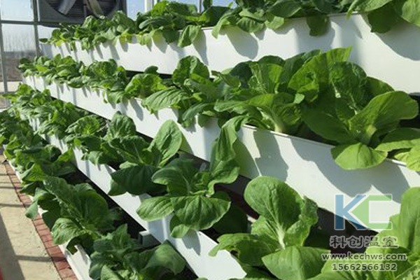 無土栽培技術，無土栽培設備，無土栽培，溫室大棚