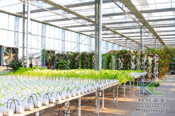 無土栽培，無土栽培技術，無土栽培設備
