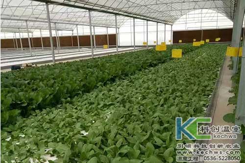 無土栽培，無土栽培技術，無土栽培設備