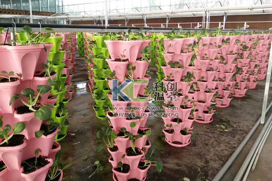 無土栽培，無土栽培技術，無土栽培設備