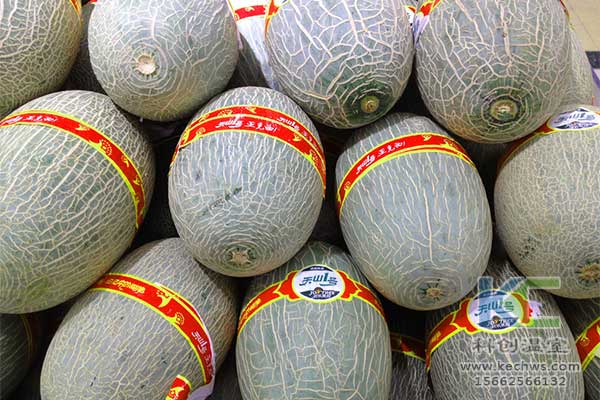 無土栽培，無土栽培技術，無土栽培設備