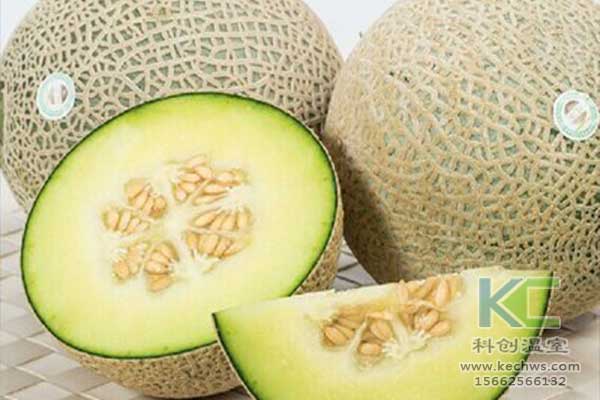 無土栽培，無土栽培技術，無土栽培設備