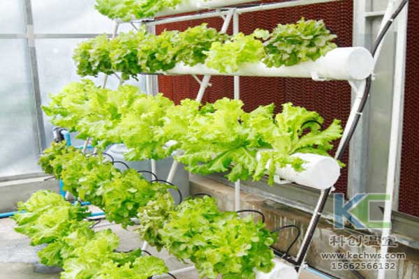 無土栽培，無土栽培技術，無土栽培設備