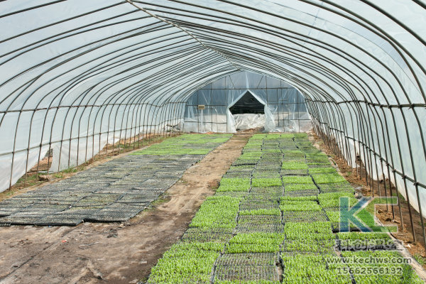 無土栽培，無土栽培技術，無土栽培設備