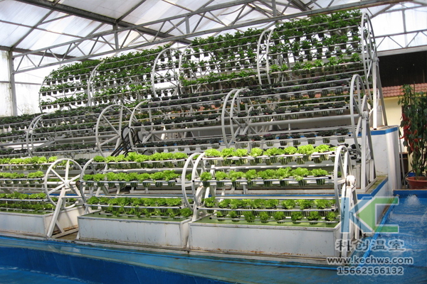 無土栽培，無土栽培技術，無土栽培設備，溫室大棚