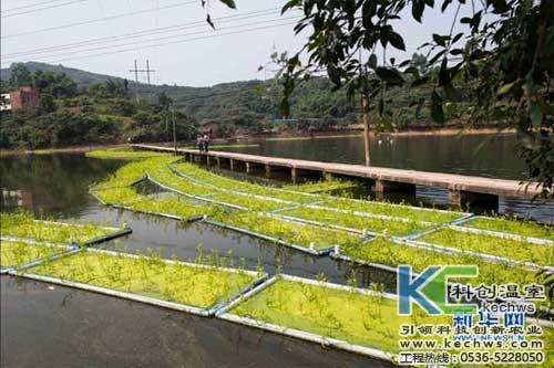 無土栽培，無土栽培技術(shù)，無土栽培設(shè)備