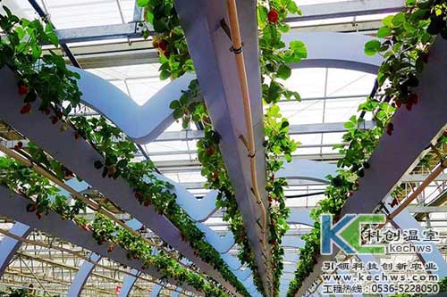 無土栽培，無土栽培技術(shù)，無土栽培設備