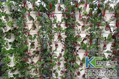 無土栽培，無土栽培技術，無土栽培設備