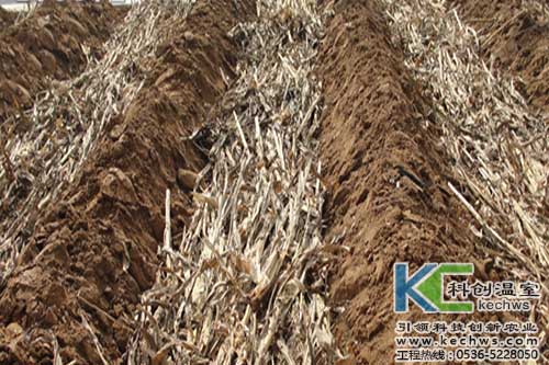 無土栽培,無土栽培技術,無土栽培設備