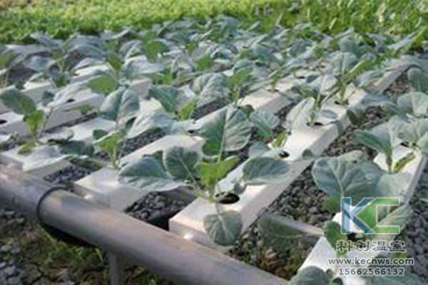 無土栽培，無土栽培技術(shù)，無土栽培設(shè)備