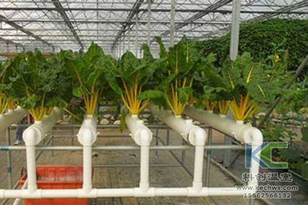 無土栽培，無土栽培技術，無土栽培設備