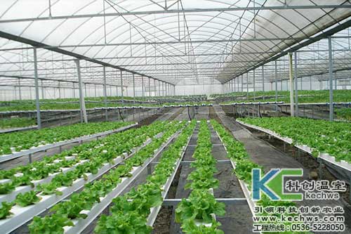 無土栽培，無土栽培技術，無土栽培設備