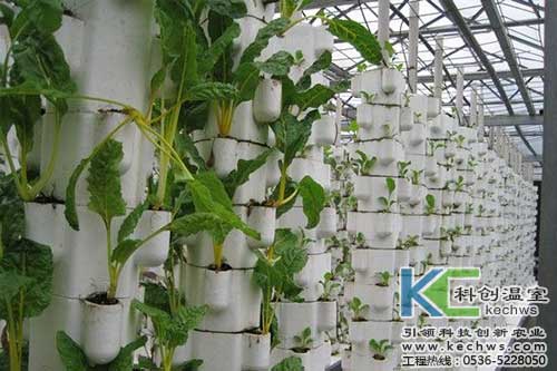 無土栽培，無土栽培技術，無土栽培設備