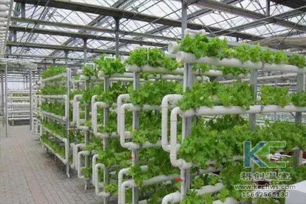 無土栽培，無土栽培技術(shù)，無土栽培設(shè)備