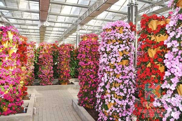 無土栽培，無土栽培技術，無土栽培設備