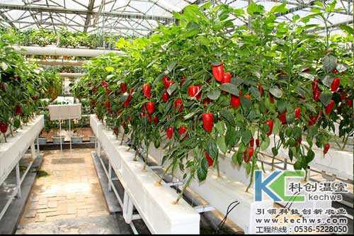 無土栽培，無土栽培技術，無土栽培設備