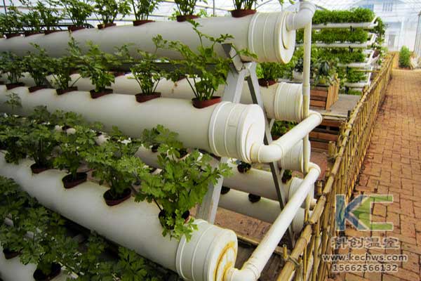 無土栽培，無土栽培技術