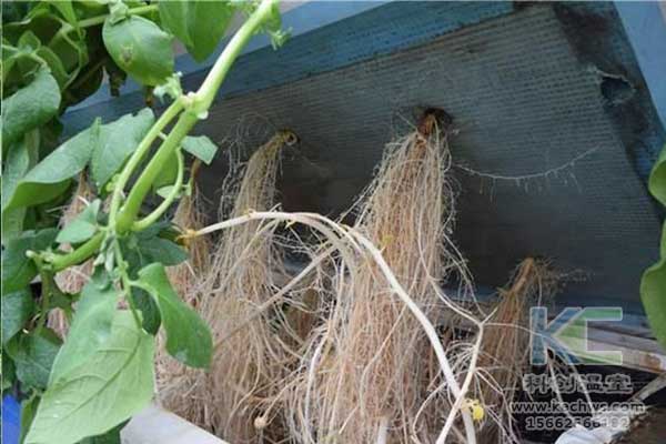 無(wú)土栽培，無(wú)土栽培技術(shù)，無(wú)土栽培設(shè)備