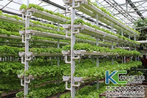 無土栽培，無土栽培技術，無土栽培設備
