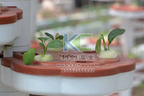 無土栽培，無土栽培技術，無土栽培設備