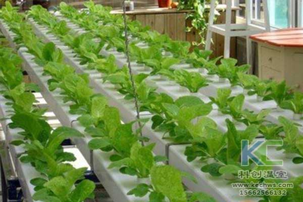 無土栽培，無土栽培技術