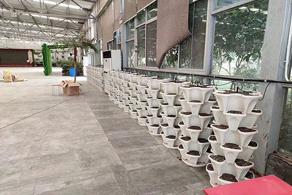 無土栽培，無土栽培技術(shù)，無土栽培設(shè)備