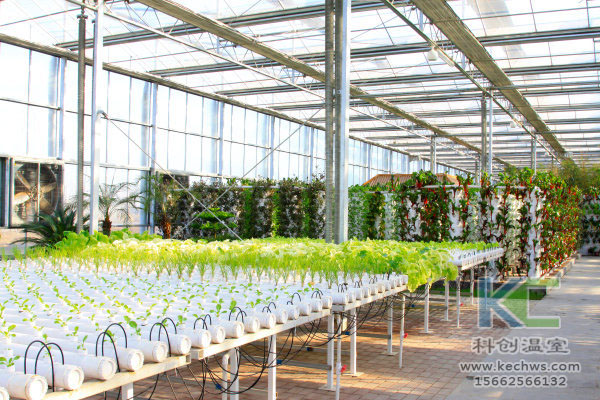 無土栽培，無土栽培技術，無土栽培設備