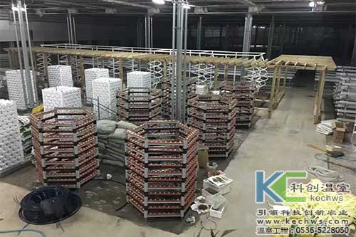 臨沂,無土栽培,無土栽培技術(shù)