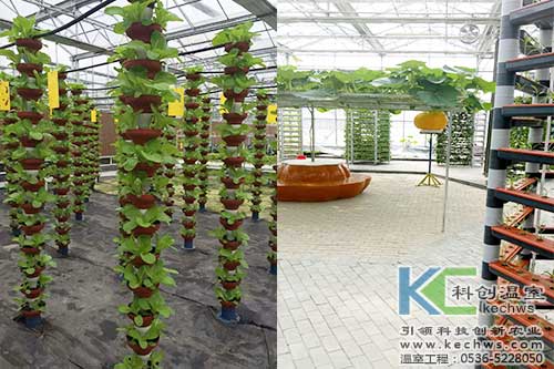 無土栽培，無土栽培案例
